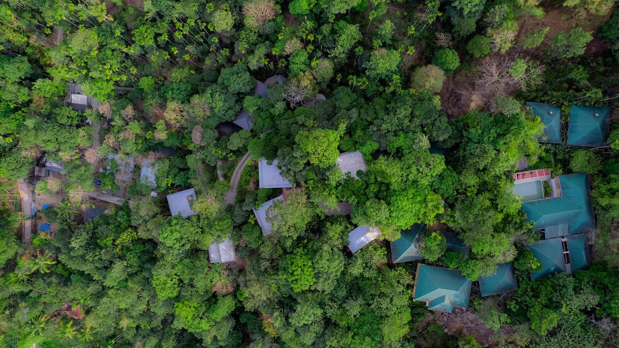 Hotel The Hive, Wayanad Exterior foto