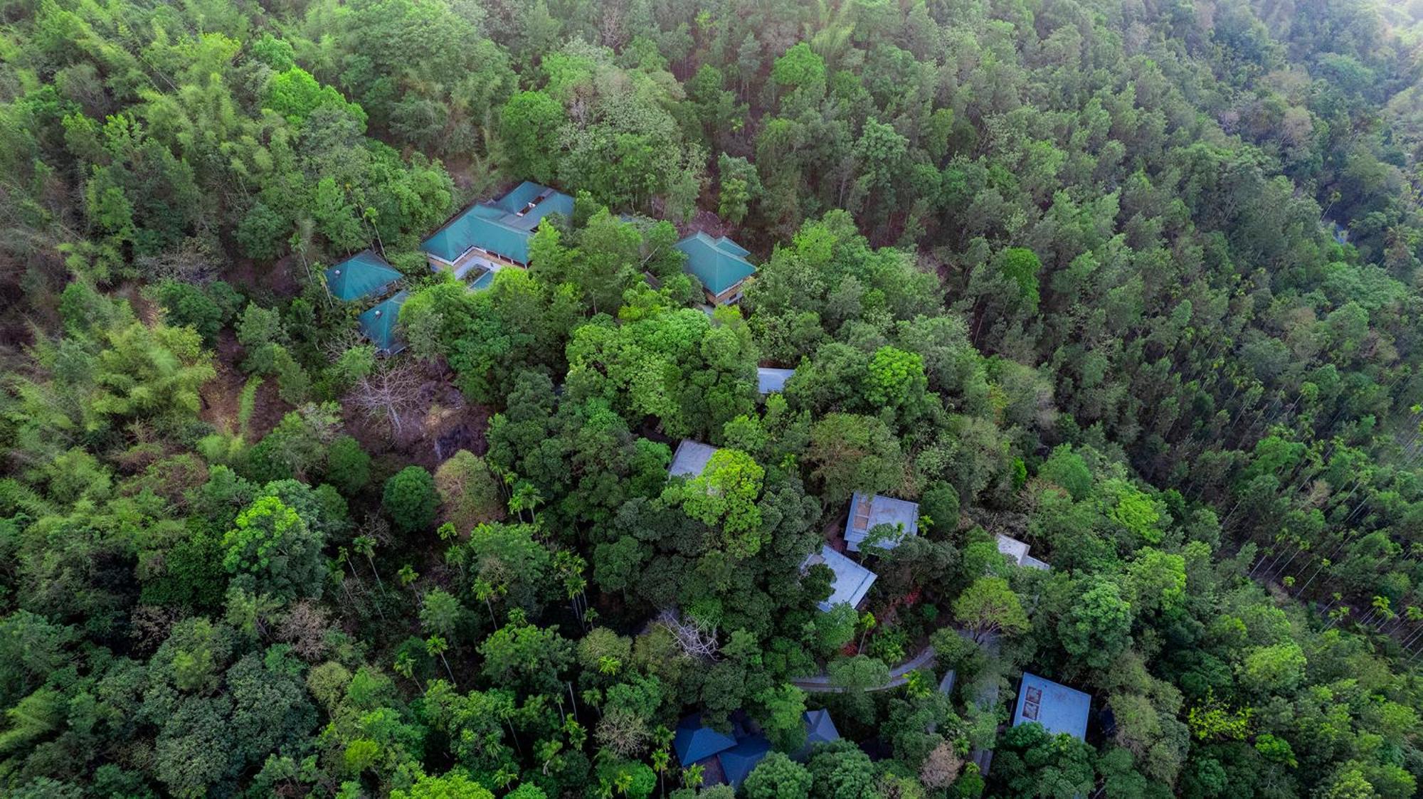 Hotel The Hive, Wayanad Exterior foto